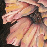 Poppy - Oil On Wood -5 3/4" x 4 3/8"