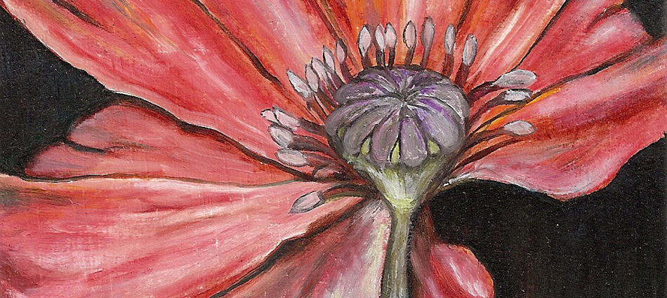 Poppie #3- Oil on wood 4 7/16" (w) x  4 5/16" (h)