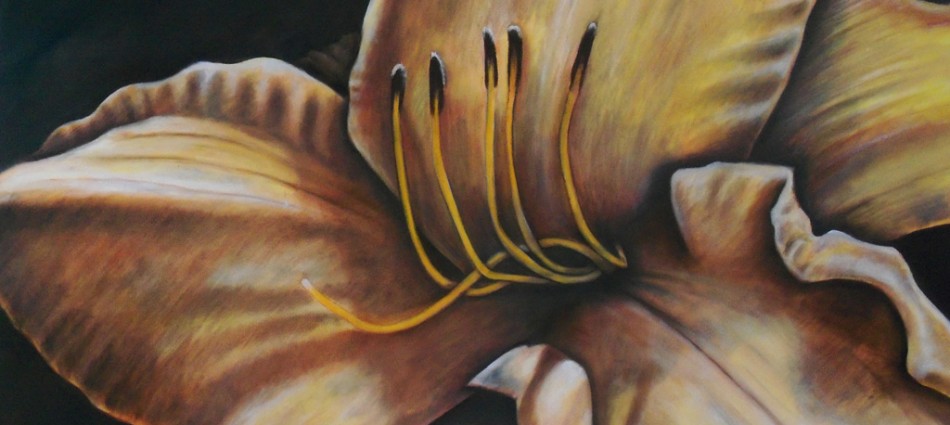 Lily #1 18"x24" Oil on canvas 4.7.2012