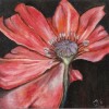 Poppy 07/5/2011 - Oil on Wood 4 7/16