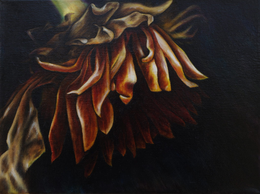 Sunflower - Oil On Canvas 11/2014